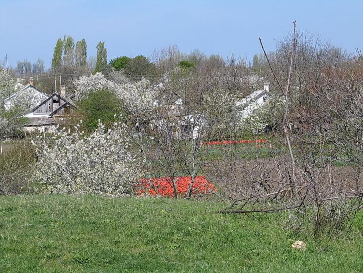 Первомайське з panoramio.com - Первомайське