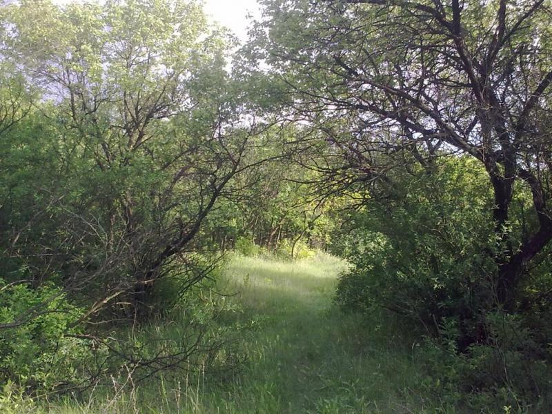 Фабричне з panoramio.com - Фабричне