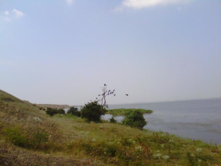Чорноморка з panoramio.com - Черноморка