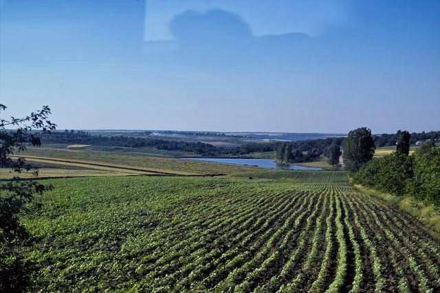 Суботівка з panoramio.com - Субботовка