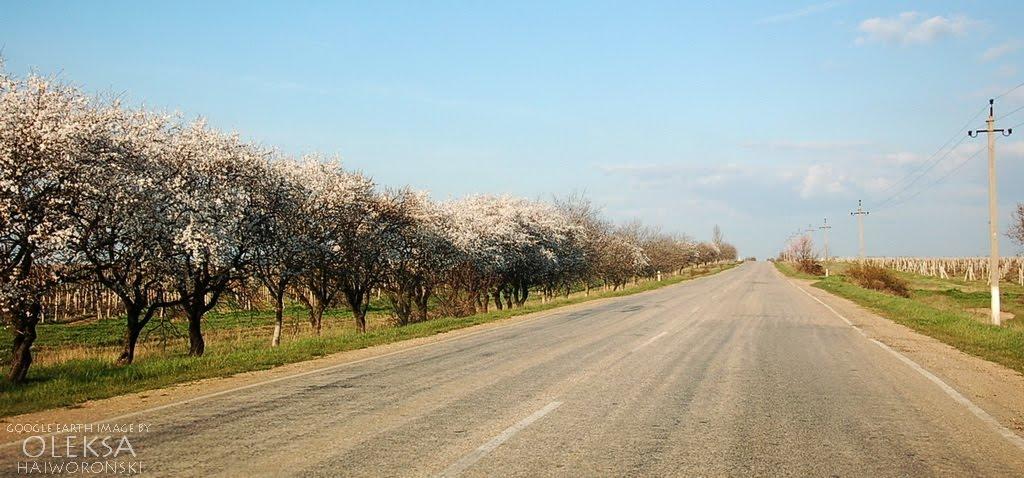Углове з panoramio.com - Углове
