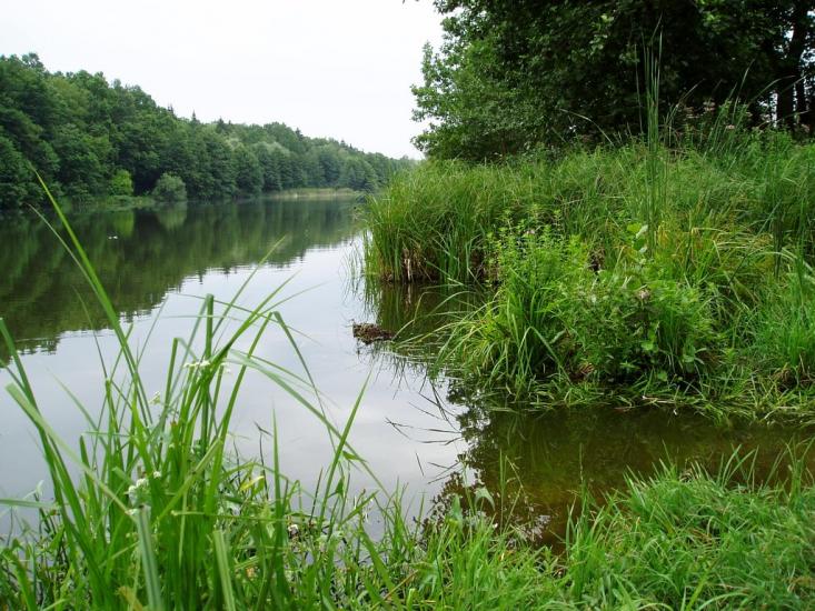 Селище з panoramio.com - Селище