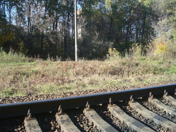 Щиборівка з panoramio.com - Щиборовка