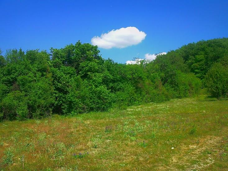 Багата Ущелина з panoramio.com - Bagata Uschelyna