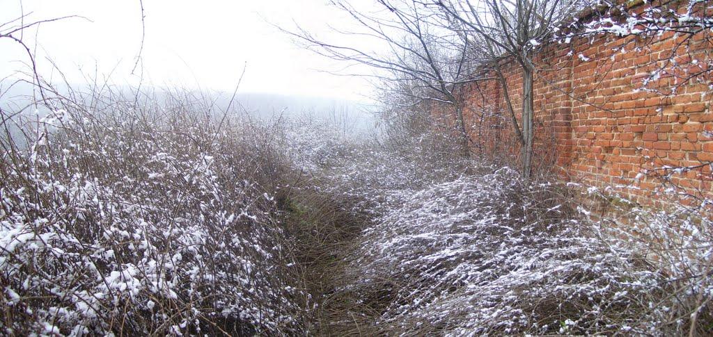 Хорошеве з panoramio.com - Хорошево