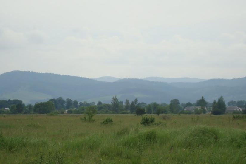 Ценява з panoramio.com - Ценява