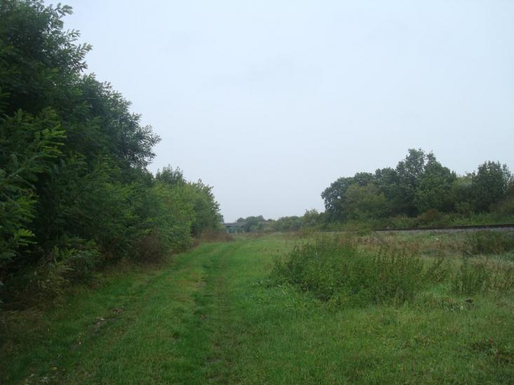 Григорівка з panoramio.com - Григоровка