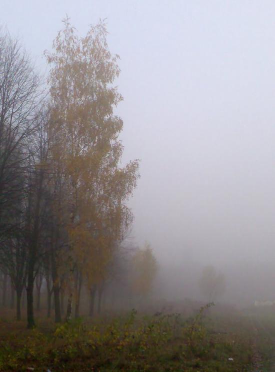 Глеваха з panoramio.com - Глеваха