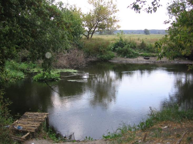 Хорошеве з panoramio.com - Хорошево
