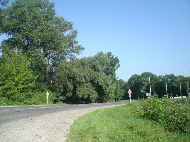 Малашівці з panoramio.com - Malashivtsi