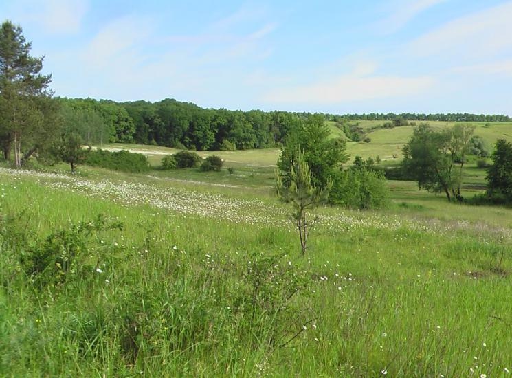Українське з panoramio.com - Украинское