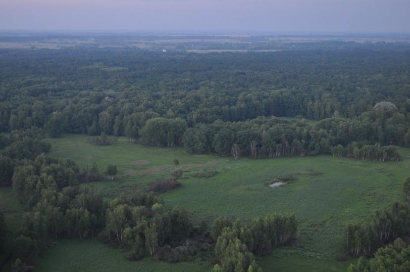 Підлісся з panoramio.com - Подлесье