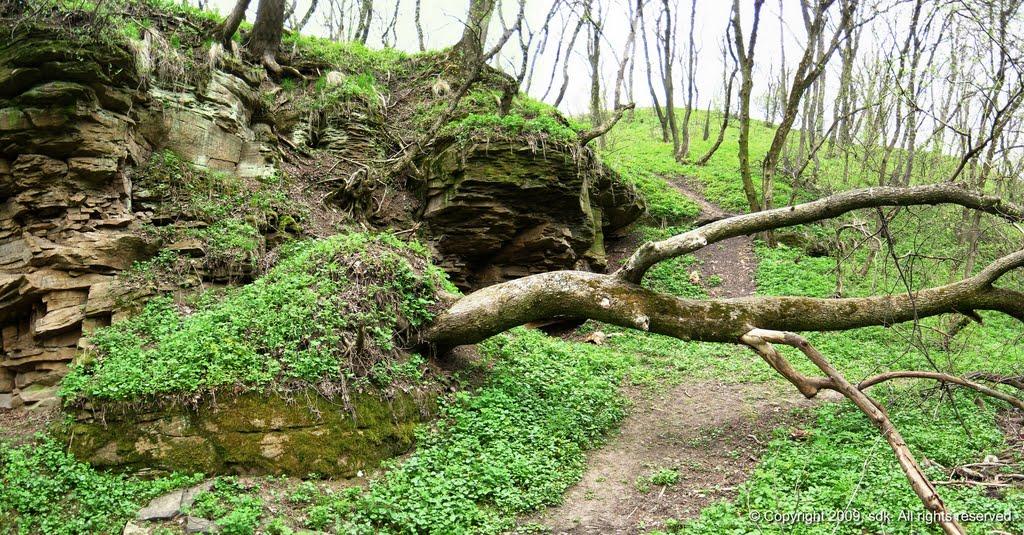 Комісарівка з panoramio.com - Комиссаровка