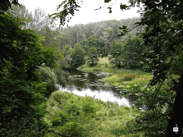 Чернеччина з panoramio.com - Чернеччина