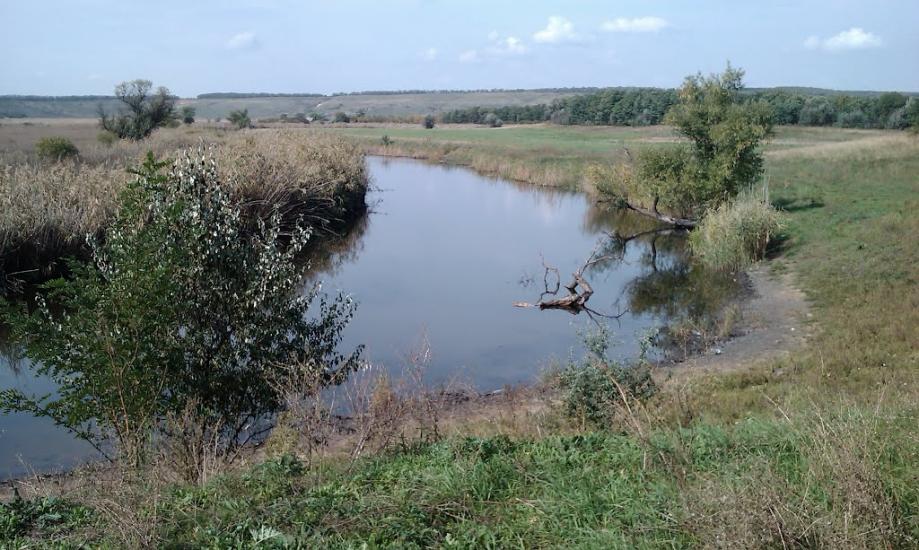 Крутоярівка з panoramio.com - Крутоярівка