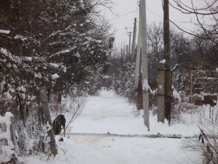 Переможне з panoramio.com - Peremozhne