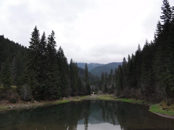 Бистриця з panoramio.com - Быстрица