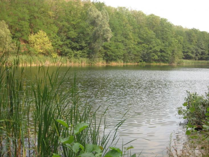 Халеп'я з panoramio.com - Халепье