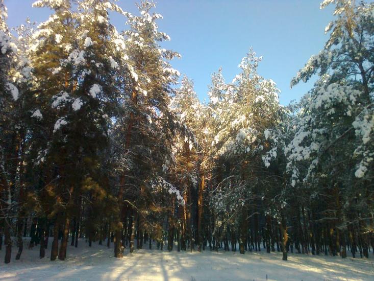 Борівське з panoramio.com - Боровское