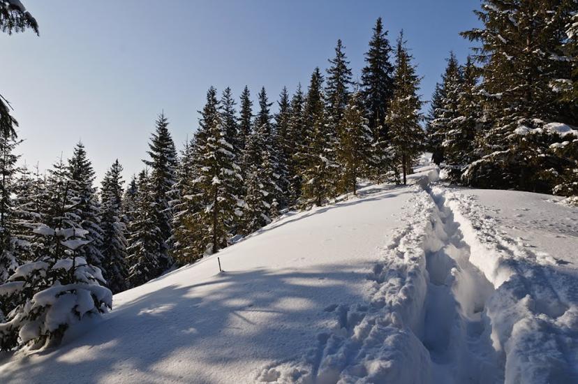 Черетів з panoramio.com - Черетов
