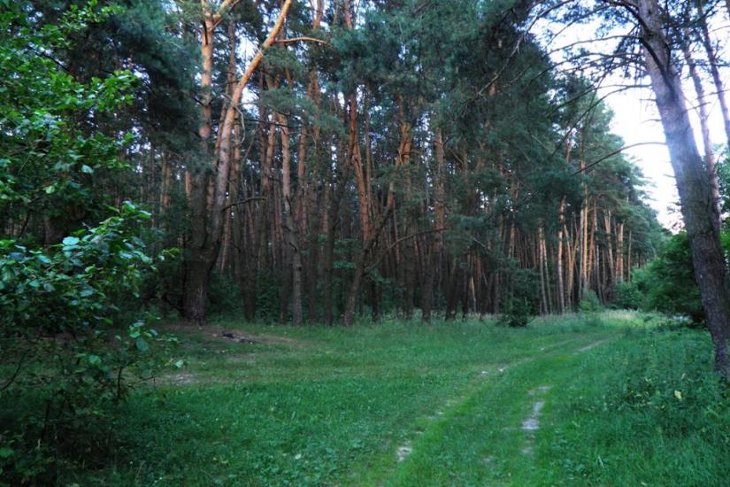 Бодячів з panoramio.com - Бодячев