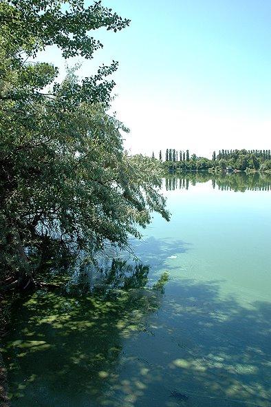 Власівка з panoramio.com - Власовка