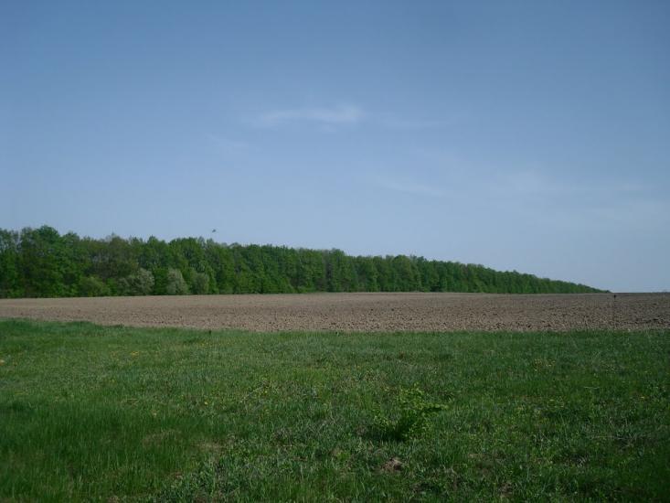 Любомирівка з panoramio.com - Любомировка