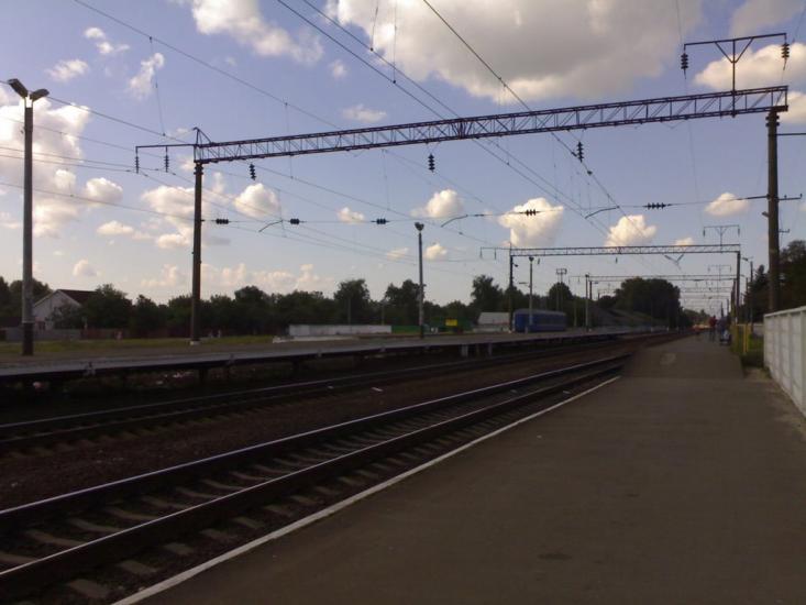 Шевченкове з panoramio.com - Шевченкове