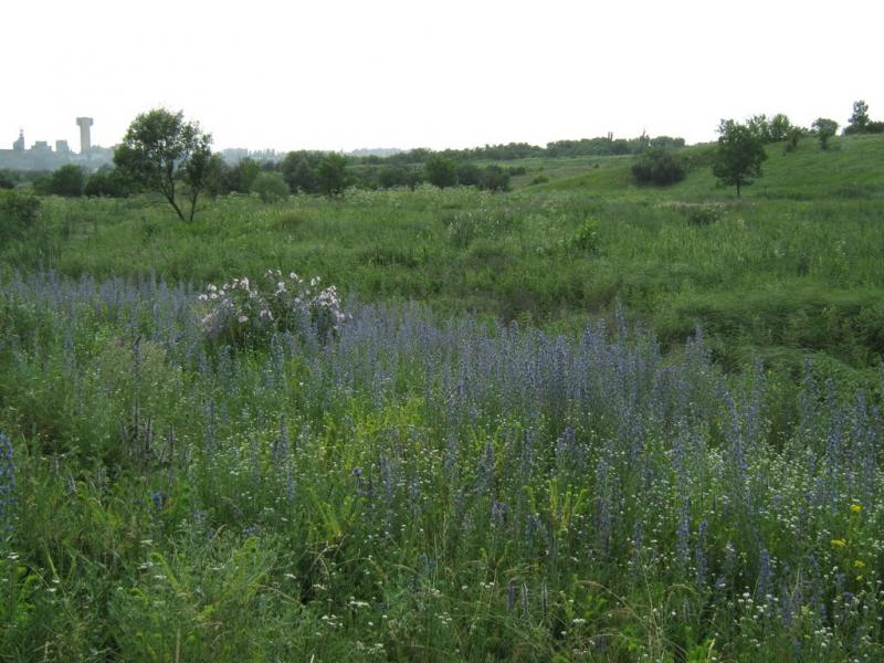 Кринична з panoramio.com - Криничная
