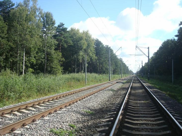 Рудня-Новенька з panoramio.com - Рудня-Новенька