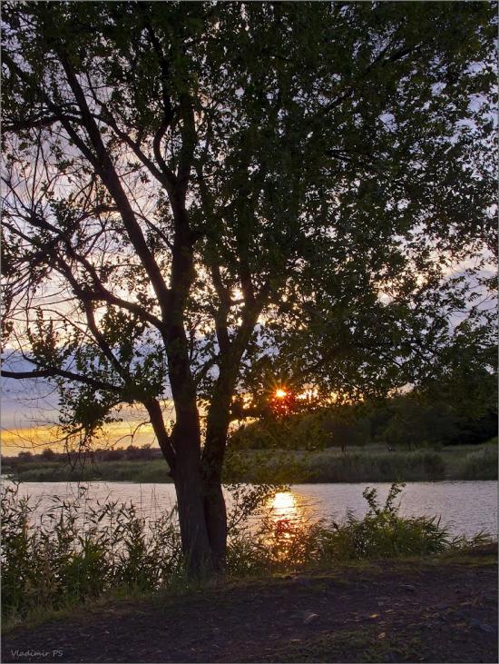 Новоіванівка з panoramio.com - Новоивановка
