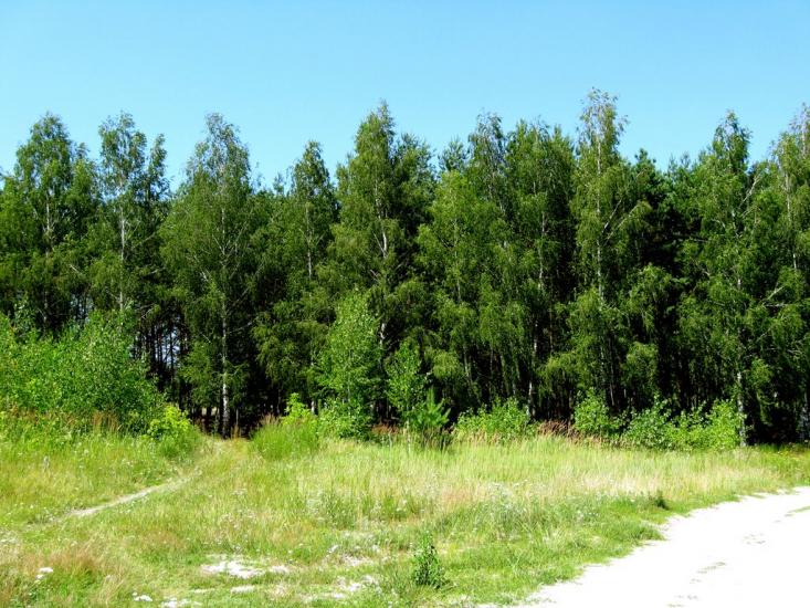 Мала Солтанівка з panoramio.com - Малая Солтановка