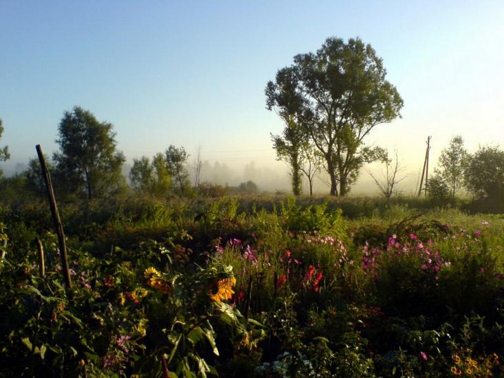 Буди з panoramio.com - Буди