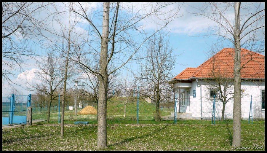 Астей з panoramio.com - Астей