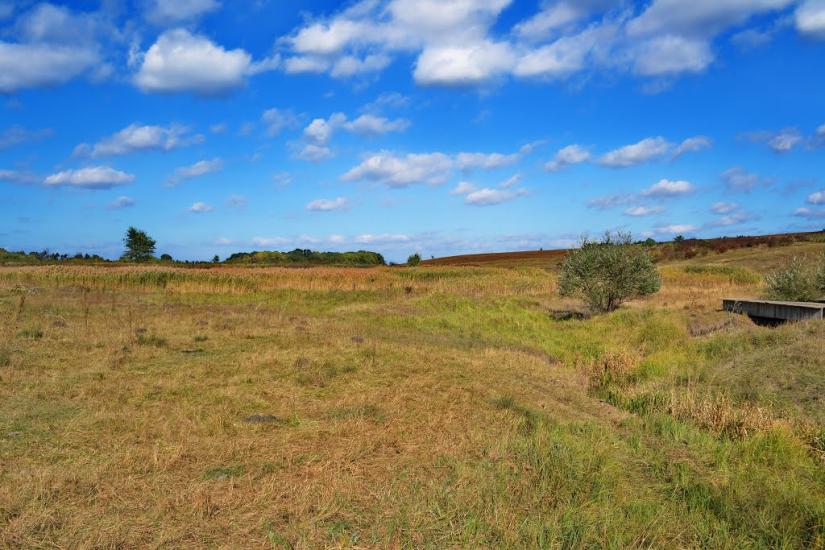Подвір'ївка з panoramio.com - Подворьевка