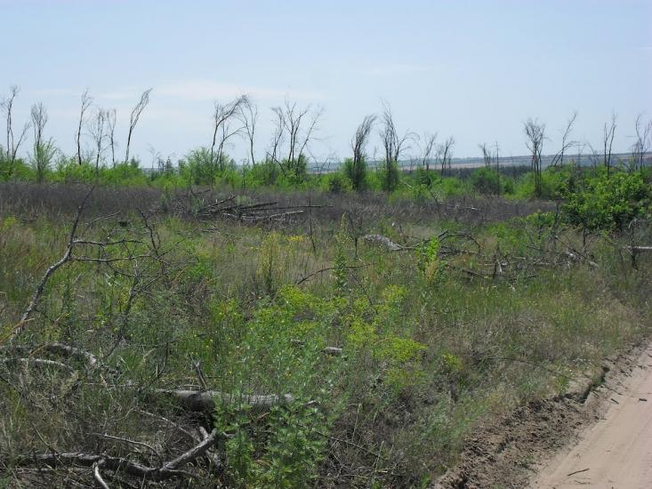 Лопаскине з panoramio.com - Лопаскине