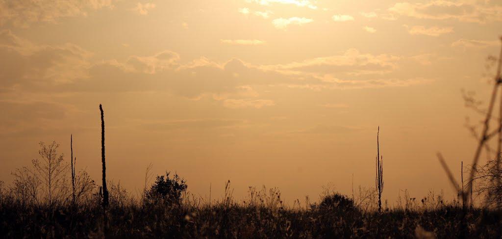 Геніївка з panoramio.com - Геніївка