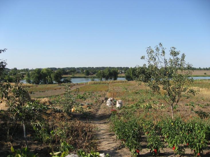 Китайгород з panoramio.com - Китайгород