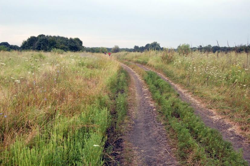 Нижнє з panoramio.com - Nyzhnye