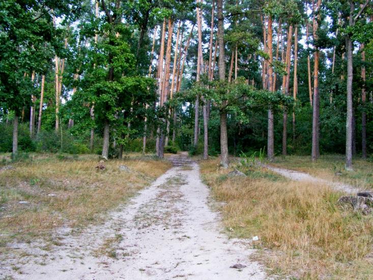 Барашівка з panoramio.com - Барашівка