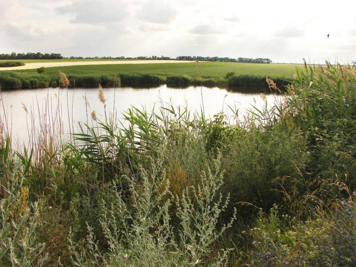 Водянське з panoramio.com - Водянське