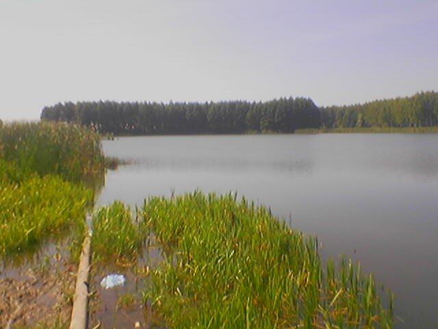 Роїще з panoramio.com - Роїще