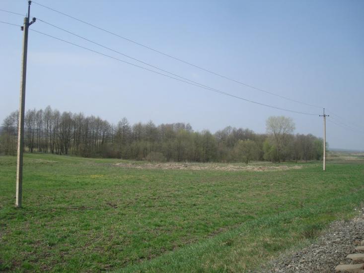 Малий Чернятин з panoramio.com - Малий Чернятин