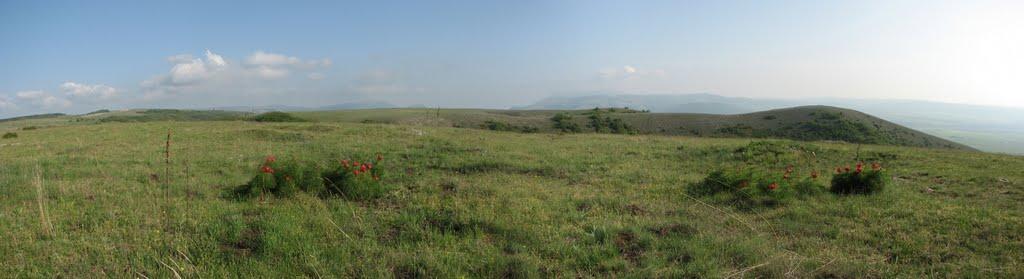 Дружне з panoramio.com - Дружне