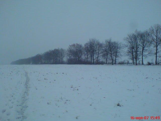 Попівка з panoramio.com - Поповка