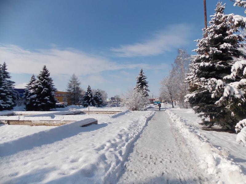 Зарванці з panoramio.com - Зарванцы
