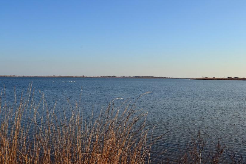 Дарівка з panoramio.com - Даровка