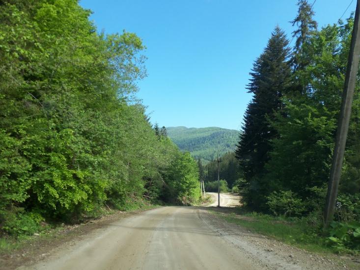 Новий Мізунь з panoramio.com - Novyy Mizun