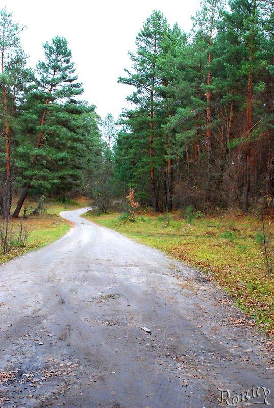 Тетерівка з panoramio.com - Тетерівка