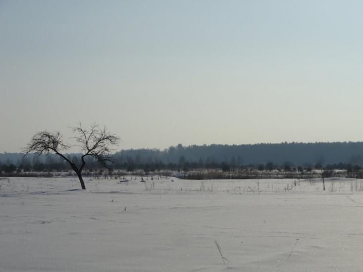 Бодячів з panoramio.com - Бодячев